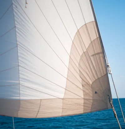 Illustration ducks - Image 1