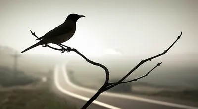 Illustration token - Image 1