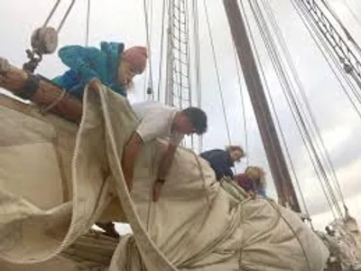 Illustration shorten - Image 2