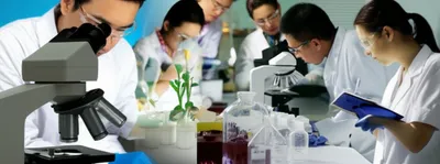 Illustration descriptive - Image 1