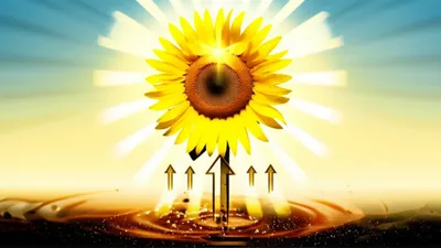 Illustration derives - Image 1