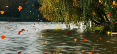 Illustration ruffling - Image 1