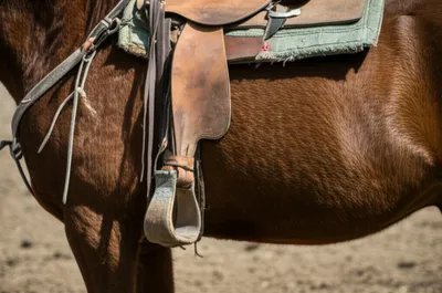 Illustration cinch - Image 1