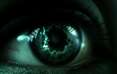 Illustration discerned