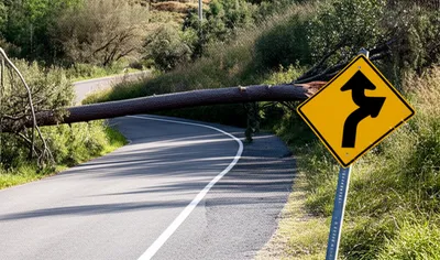 Hình ảnh minh họa reroute - Ảnh 1