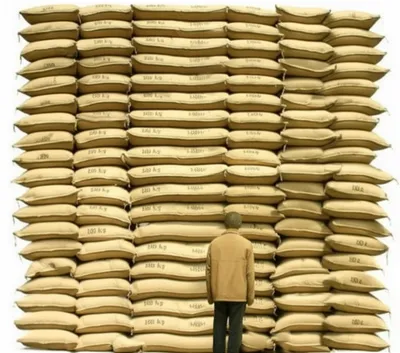 Illustration quintals - Image 1