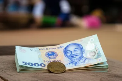 Hình ảnh minh họa xu