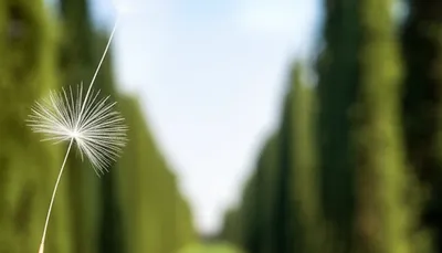 Illustration drifted - Image 1