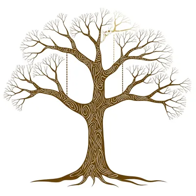 Illustration adjuncts - Image 1