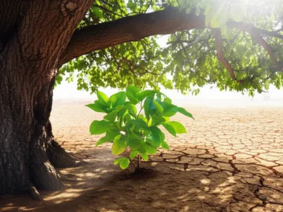 Illustration shaded - Image 1