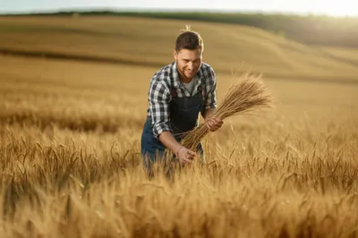 Illustration timely - Image 1