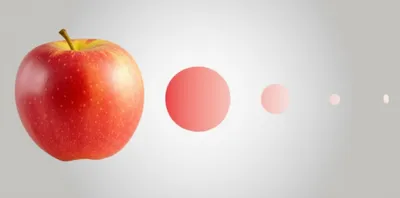 Illustration diminished - Image 1