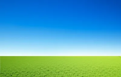 Illustration fair - Image 1