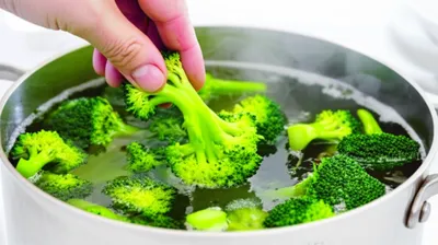 Illustration blanch - Image 1