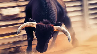 Illustration bunts - Image 1