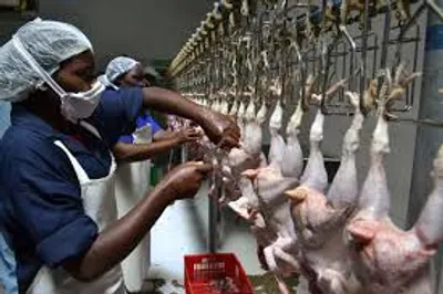 Illustration slaughterhouse - Image 2