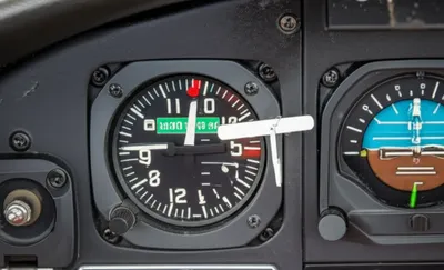 Illustration bugs - Image 1