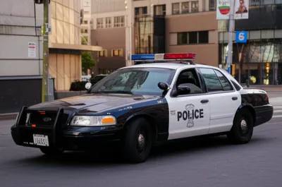 Illustration cruisers - Image 1