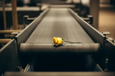 Illustration dispensable