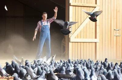 Illustration shoo - Image 1