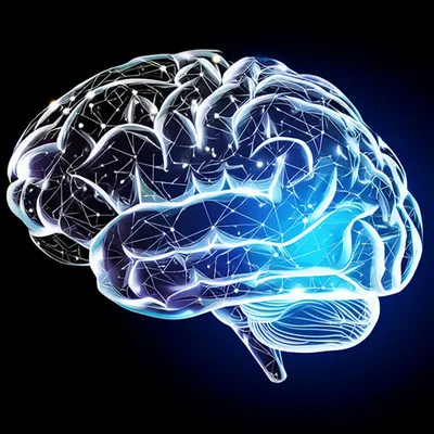 Illustration discourse - Image 1