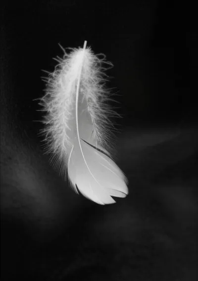 Illustration mezzotint - Image 1