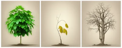 Illustration blast - Image 1