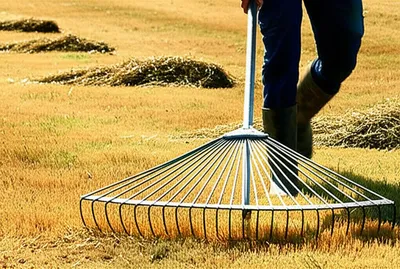 Illustration rake - Image 1