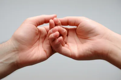 Illustration bonded - Image 1