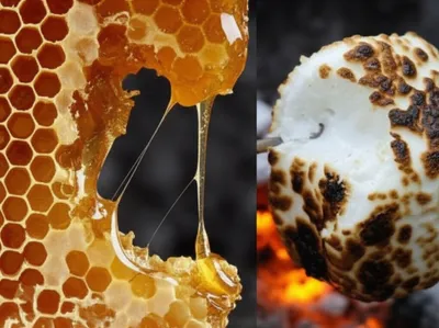 Illustration gooey - Image 1