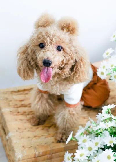 Illustration artificiality - Image 2