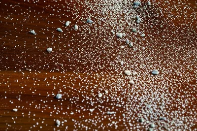 Illustration grits - Image 1