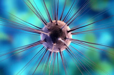 Illustration dendrites - Image 1