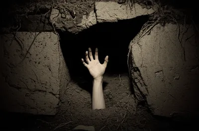 Illustration entomb - Image 1