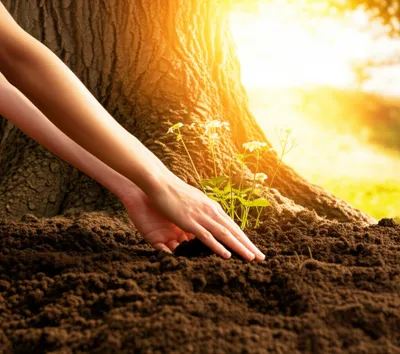 Illustration dedicate - Image 1