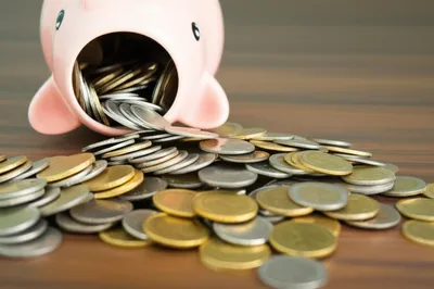 Illustration chinks - Image 1