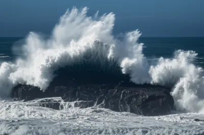 Illustration swash - Image 1