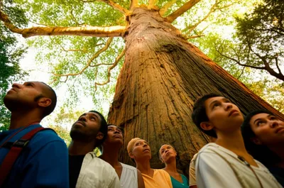 Illustration reverenced