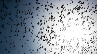 Illustration prevailing - Image 1