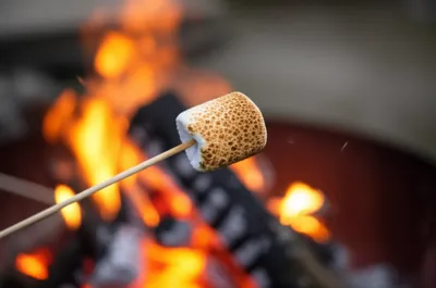 Illustration gold - Image 1