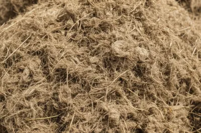 Illustration scutches - Image 1