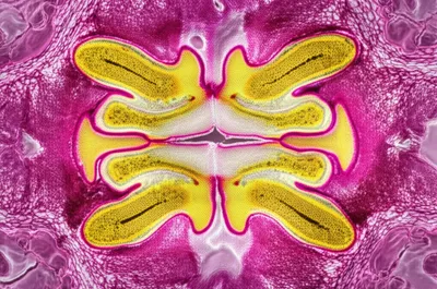 Illustration connectives - Image 1