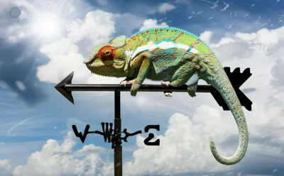 Illustration changeable - Image 1