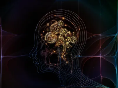 Illustration cephalic - Image 1