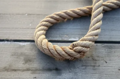 Illustration beckets - Image 1