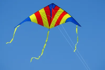 Illustration bridle - Image 1