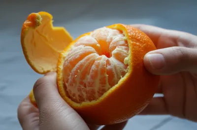 Illustration pill - Image 1