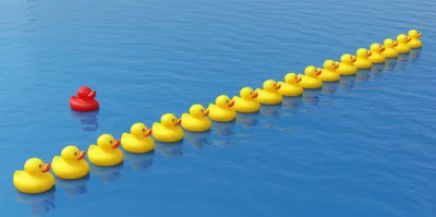 Illustration anomaly - Image 1