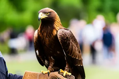 Illustration mans - Image 1