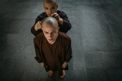 Illustration cowling - Image 1